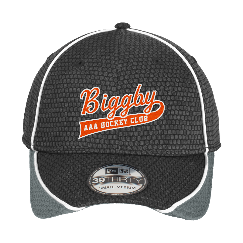 Biggby Coffee AAA New Era Hex Mesh Cap